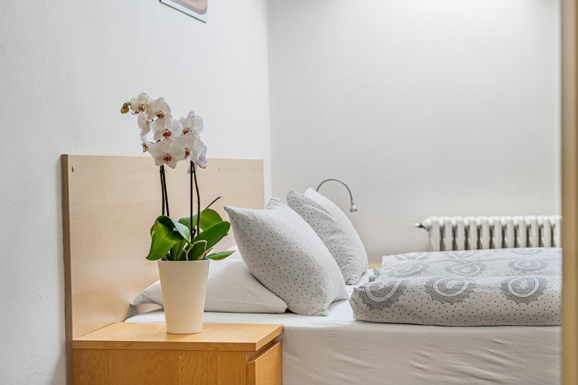 Apartmany Rozarka Turnov Extérieur photo